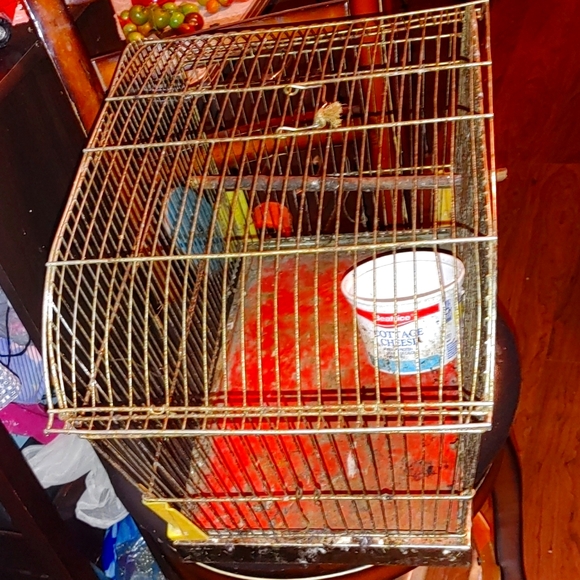 BIRD CAGE WITH SPRING LOADED DOOR - Picture 5 of 6